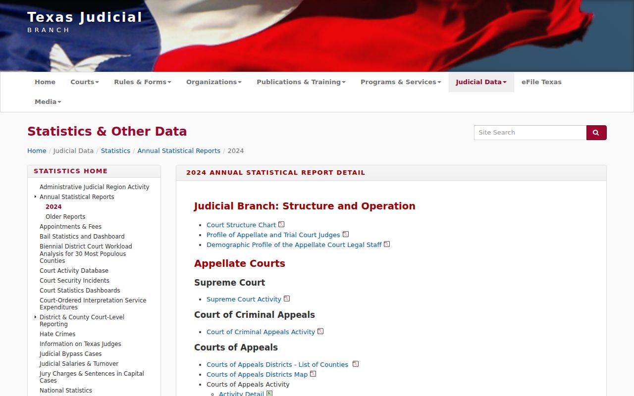 Washington County traffic warrant context and Texas Judicial Branch annual statistics